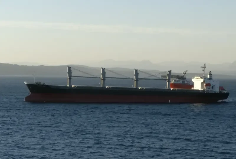 BALD EAGLE General Cargo IMO 9400904 photo 6