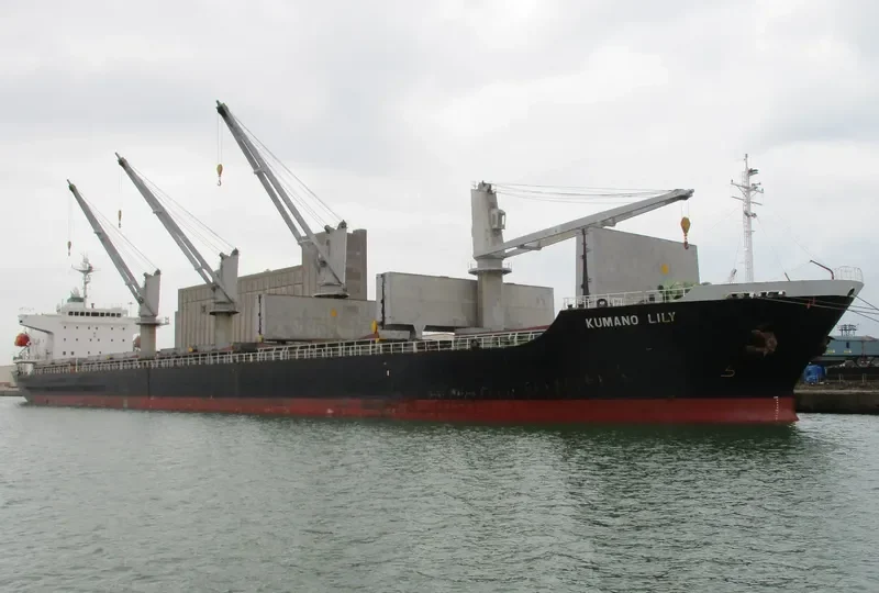BALD EAGLE General Cargo IMO 9400904 photo 7