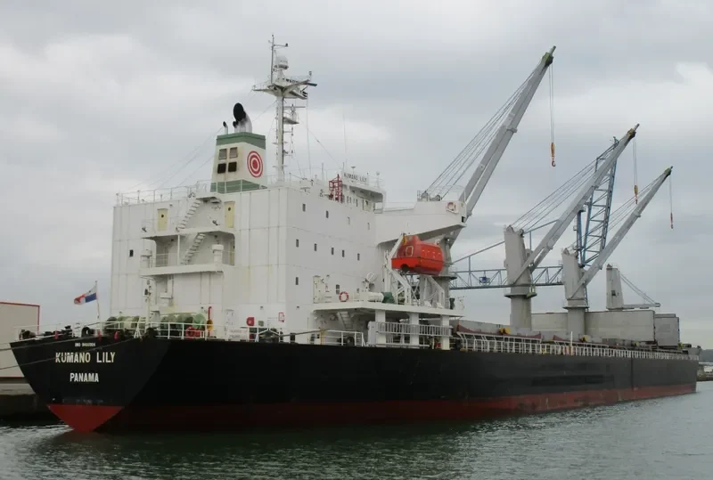 BALD EAGLE General Cargo IMO 9400904 photo 8