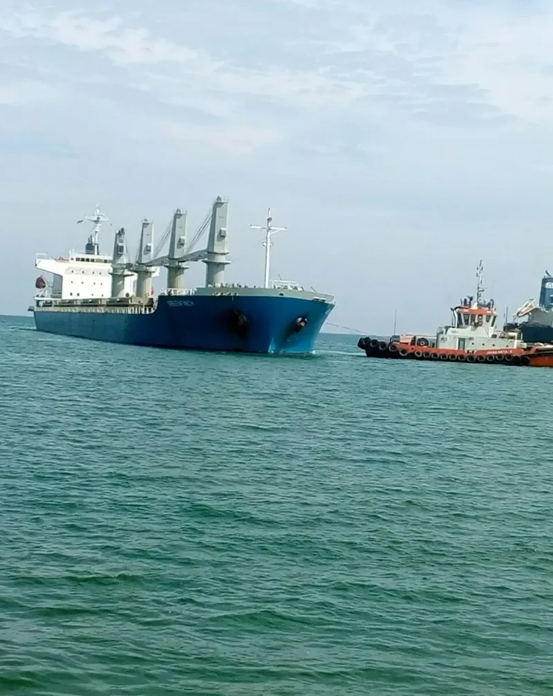 OBE NORARES General Cargo IMO 9400930 photo 4