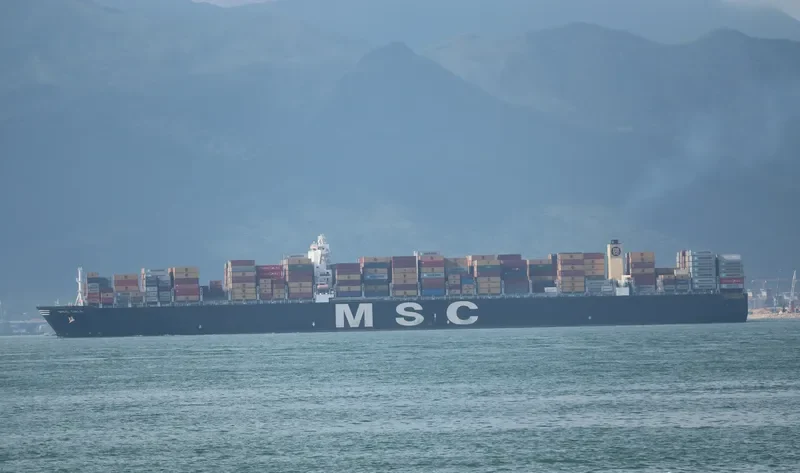 MSC GAIA Container Ship IMO 9401142