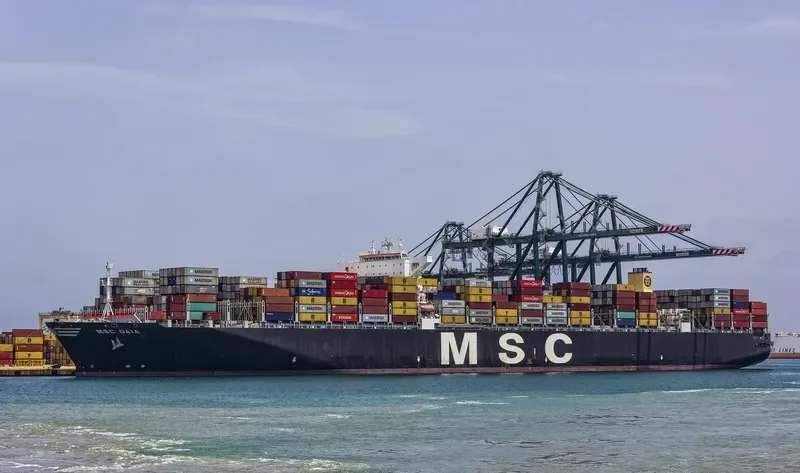 MSC GAIA Container Ship IMO 9401142 photo 2