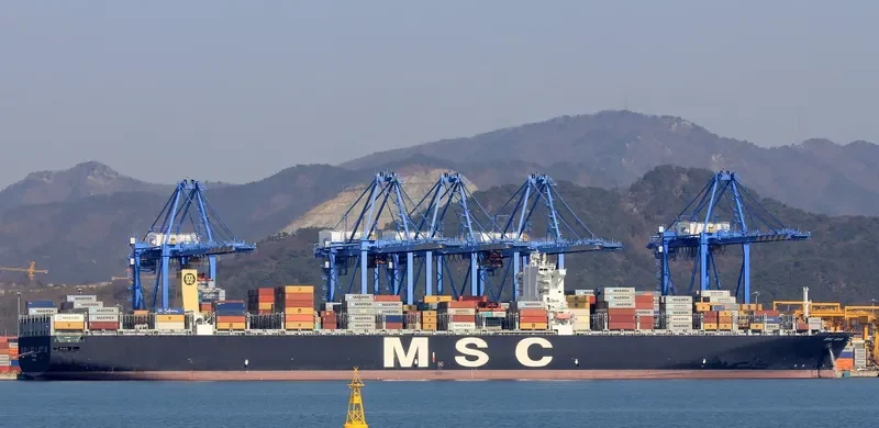 MSC GAIA Container Ship IMO 9401142 photo 3