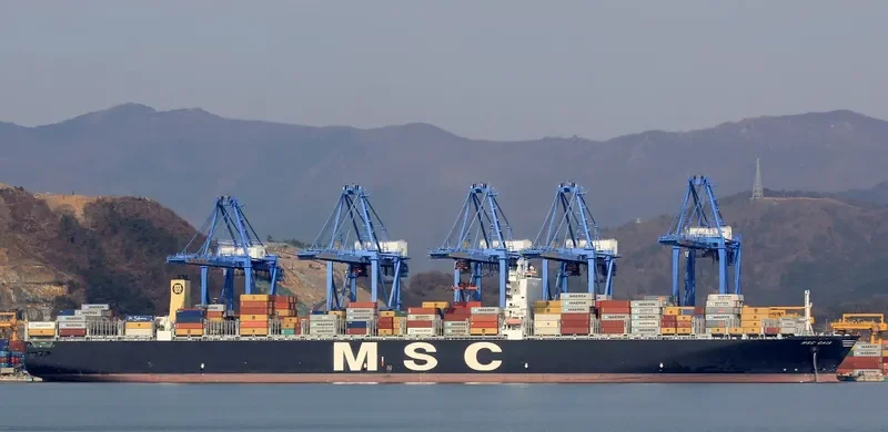 MSC GAIA Container Ship IMO 9401142 photo 4