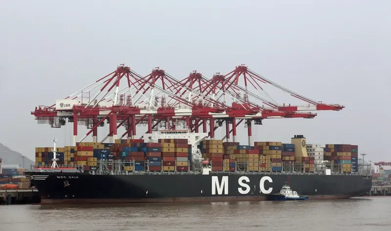 MSC GAIA Container Ship IMO 9401142 photo 9