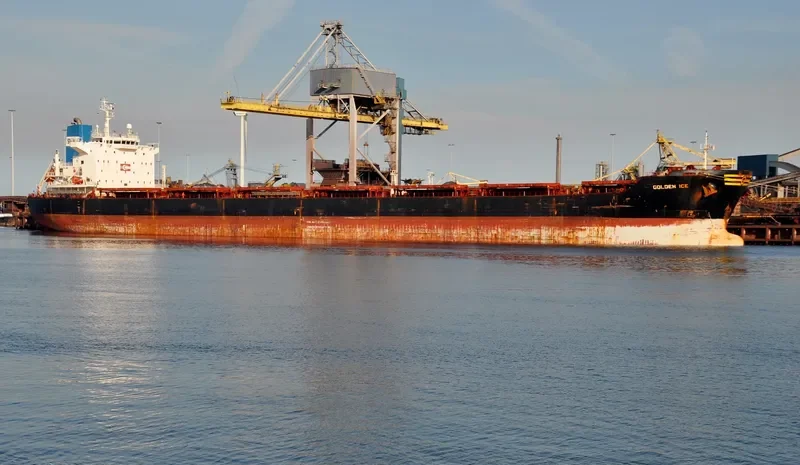 GOLDEN ICE Bulk Carrier IMO 9401362 photo 7