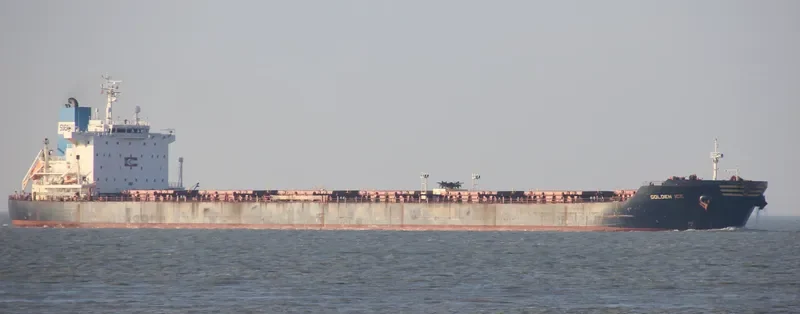 GOLDEN ICE Bulk Carrier IMO 9401362 photo 8