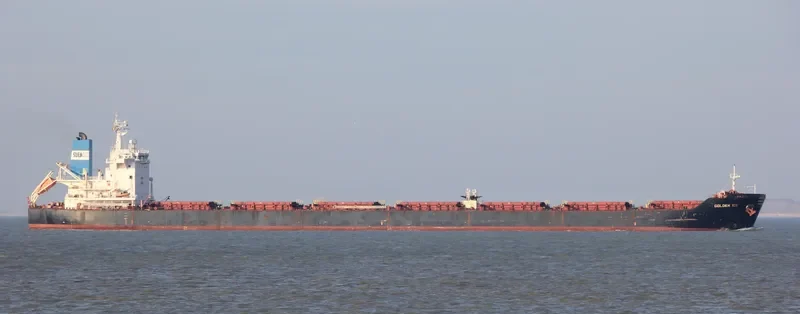 GOLDEN ICE Bulk Carrier IMO 9401362 photo 9