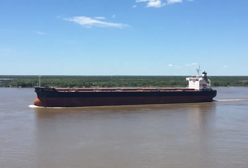 STAR DANAI Bulk Carrier IMO 9401477 photo 2