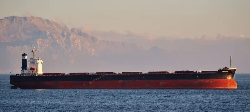 STAR DANAI Bulk Carrier IMO 9401477 photo 4