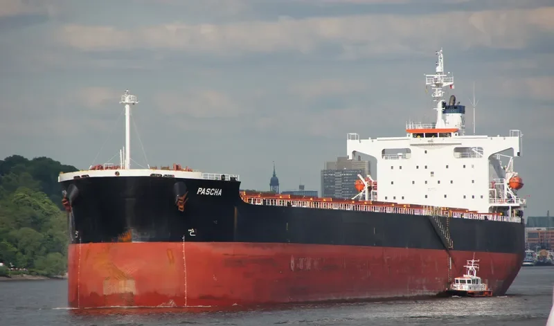 STAR DANAI Bulk Carrier IMO 9401477 photo 6