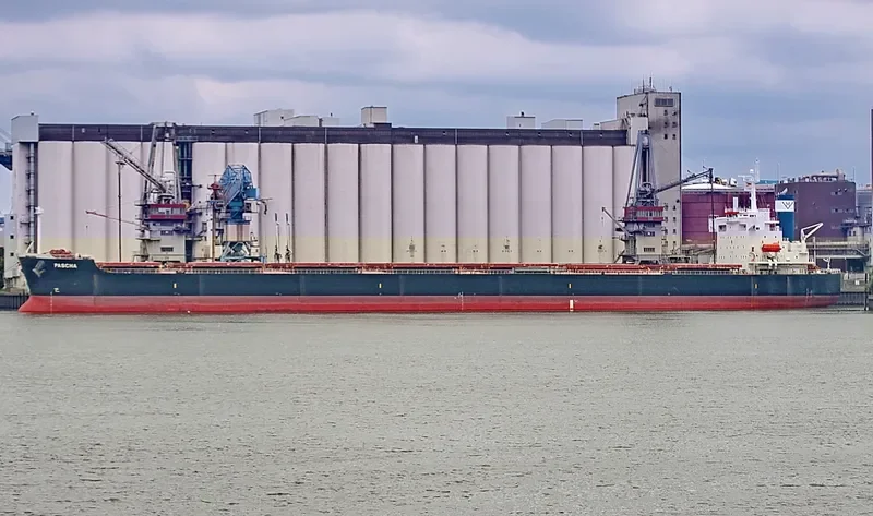 STAR DANAI Bulk Carrier IMO 9401477 photo 8