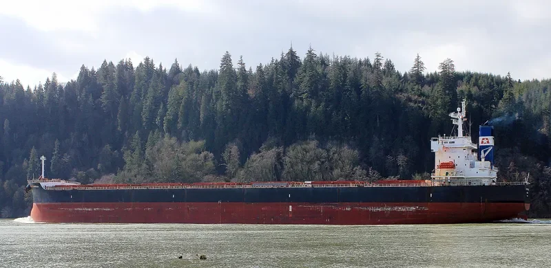 STAR MARKELLA Bulk Carrier IMO 9401491