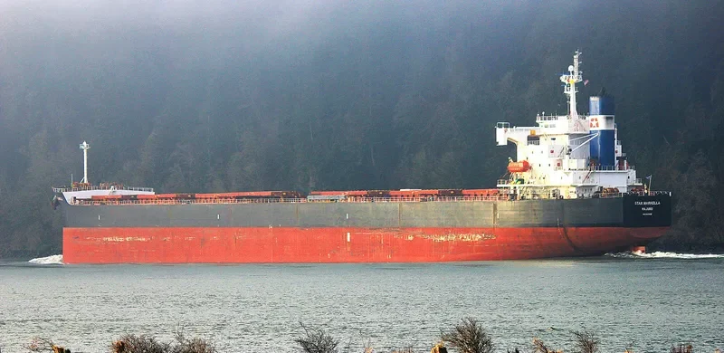 STAR MARKELLA Bulk Carrier IMO 9401491 photo 4