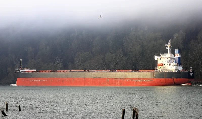 STAR MARKELLA Bulk Carrier IMO 9401491 photo 5