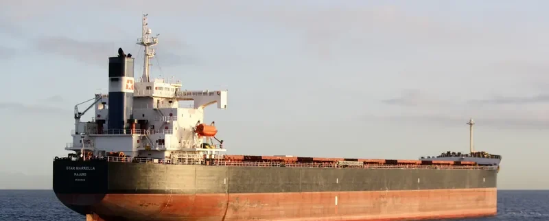 STAR MARKELLA Bulk Carrier IMO 9401491 photo 6