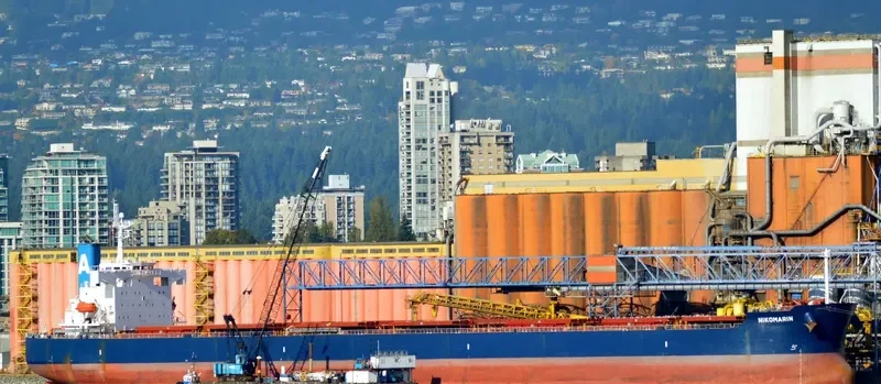 NIKOMARIN Bulk Carrier IMO 9401506 photo 2