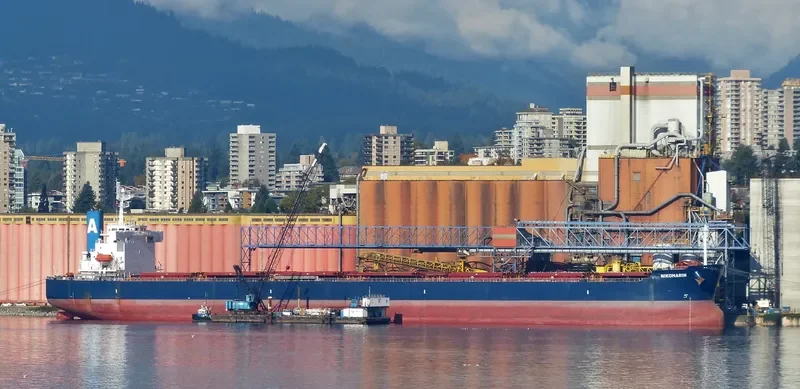 NIKOMARIN Bulk Carrier IMO 9401506 photo 3