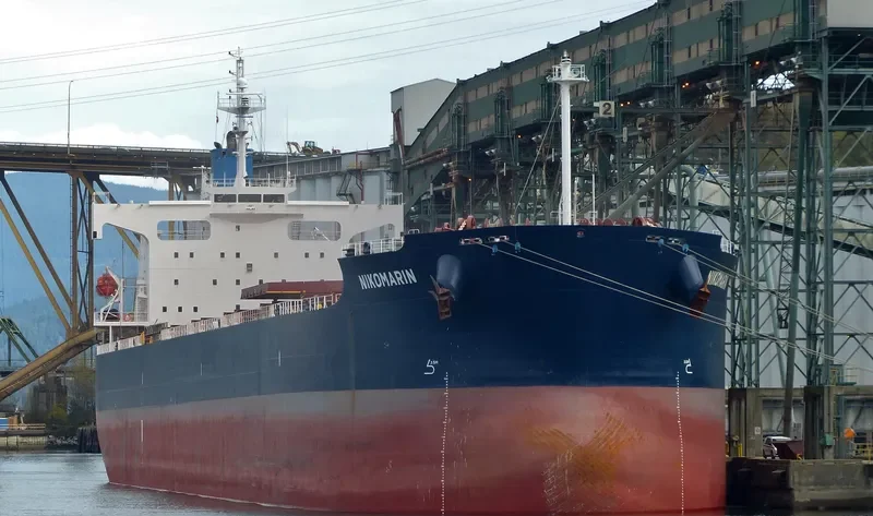 NIKOMARIN Bulk Carrier IMO 9401506 photo 5
