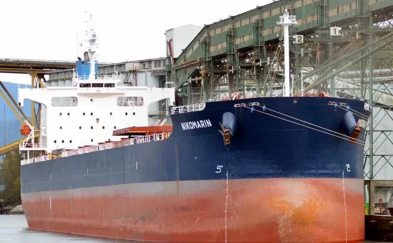 NIKOMARIN Bulk Carrier IMO 9401506 photo 6