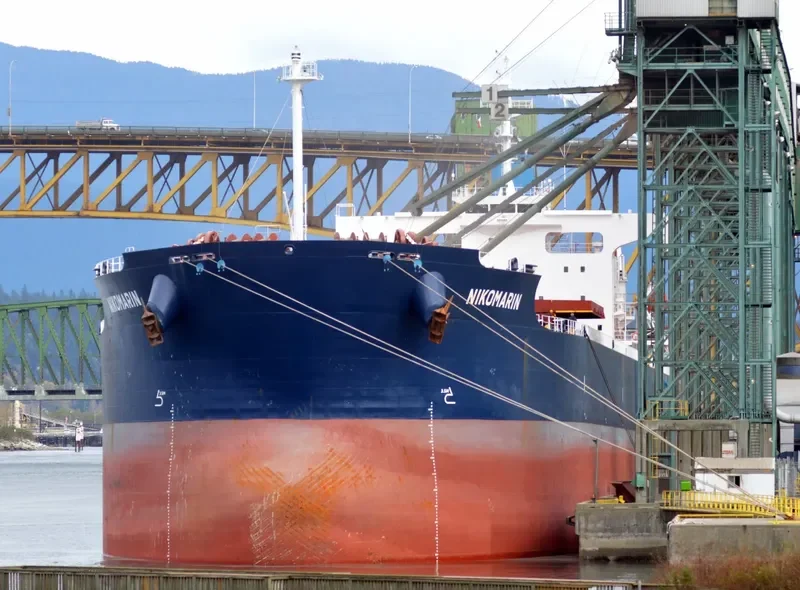 NIKOMARIN Bulk Carrier IMO 9401506 photo 7