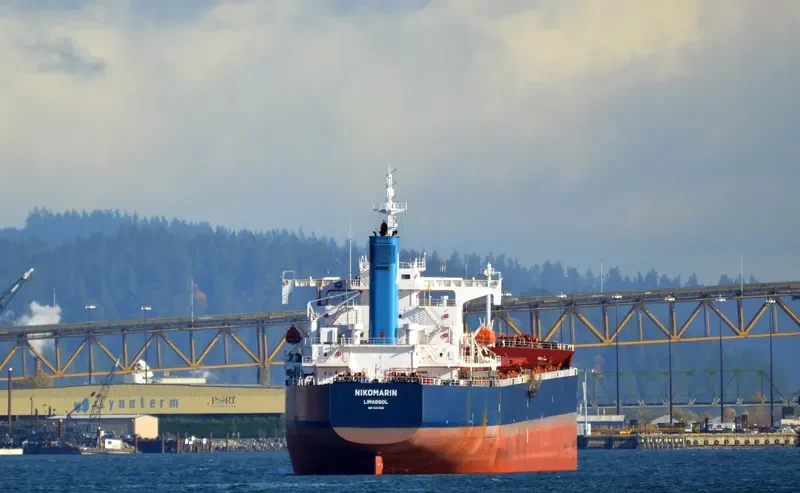 NIKOMARIN Bulk Carrier IMO 9401506 photo 8