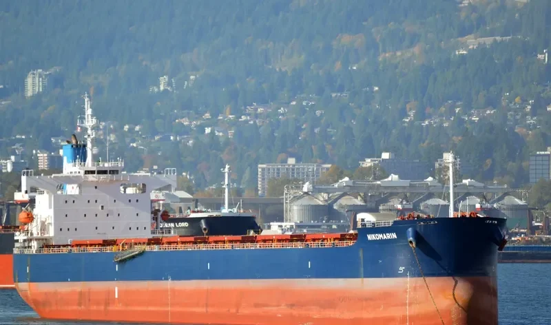NIKOMARIN Bulk Carrier IMO 9401506 photo 9