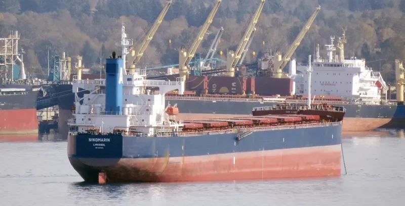 NIKOMARIN Bulk Carrier IMO 9401506 photo 10