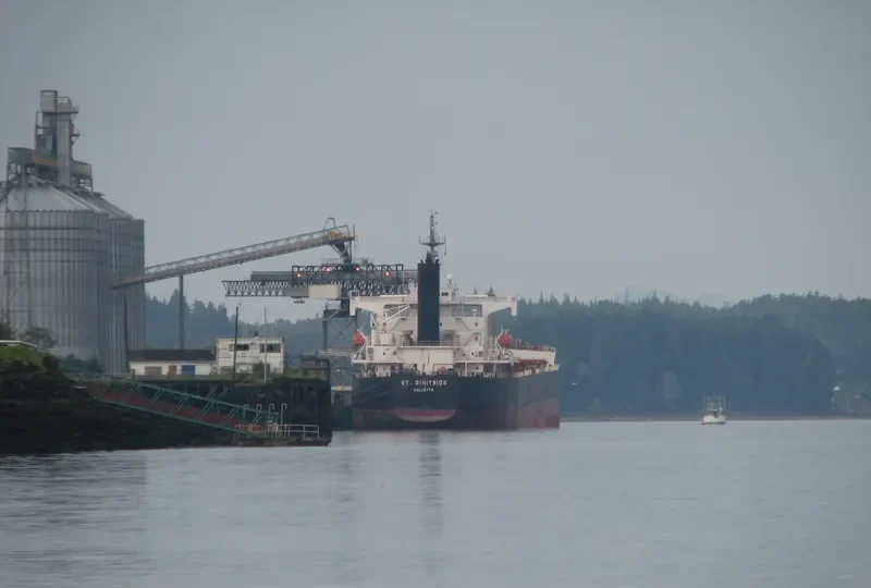 ST.DIMITRIOS Bulk Carrier IMO 9401518 photo 4