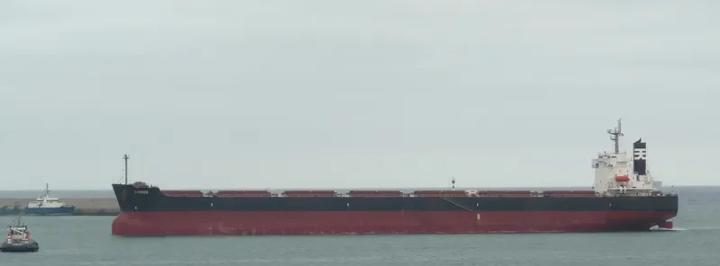 ST.DIMITRIOS Bulk Carrier IMO 9401518 photo 7