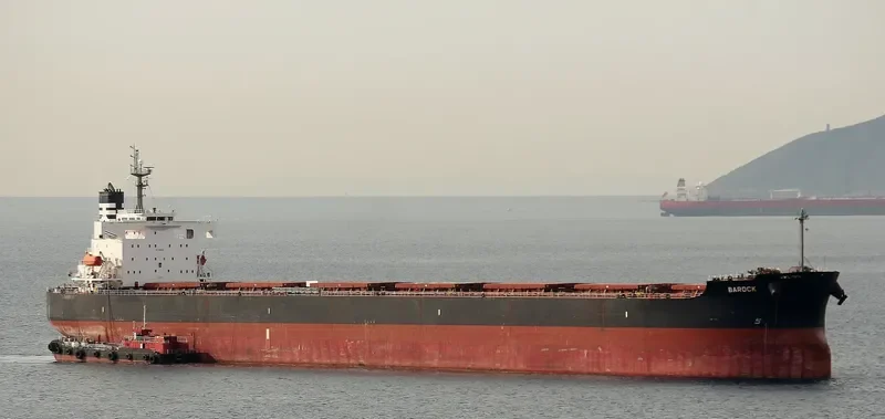 ST.DIMITRIOS Bulk Carrier IMO 9401518 photo 8