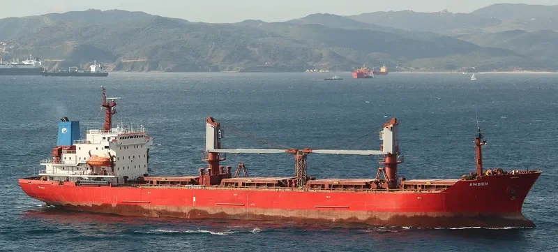 ST.DIMITRIOS Bulk Carrier IMO 9401518 photo 9