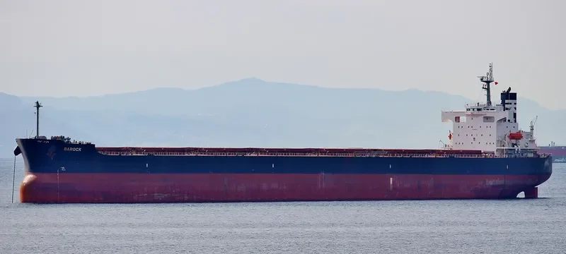 ST.DIMITRIOS Bulk Carrier IMO 9401518 photo 10