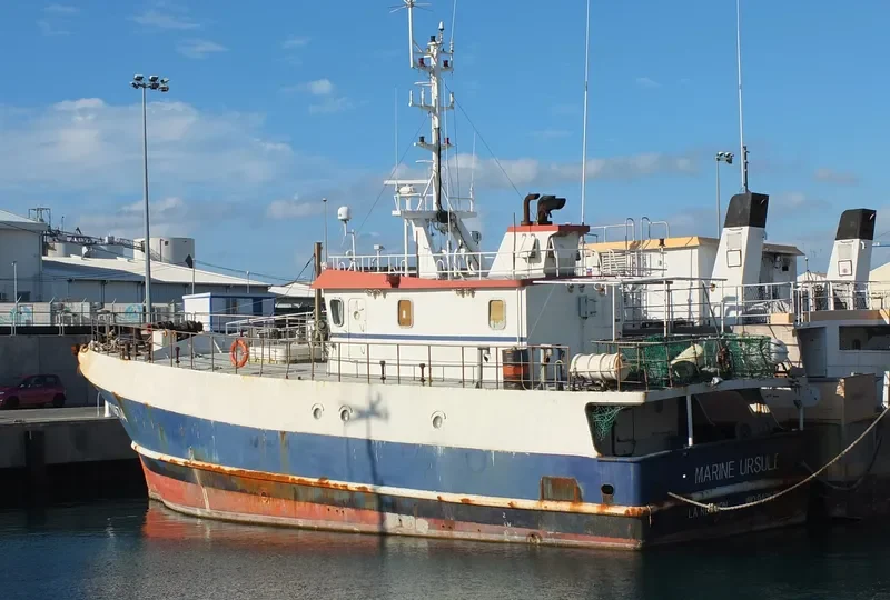 MARINE URSULE General Cargo IMO 9401623
