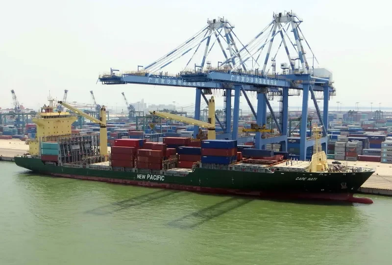 CAPE NATI Container Ship IMO 9401685
