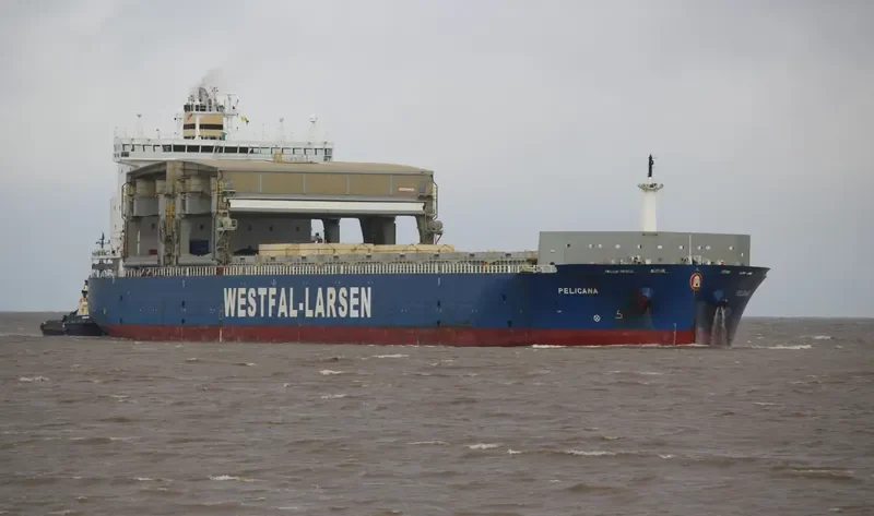 PELICANA General Cargo IMO 9401790 photo 3