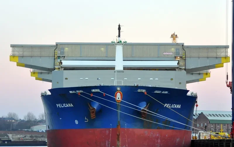 PELICANA General Cargo IMO 9401790 photo 10