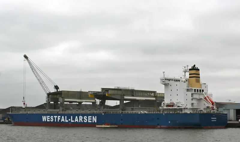 PANAMANA General Cargo IMO 9401805 photo 7