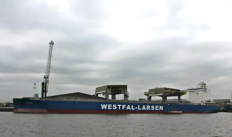 PANAMANA General Cargo IMO 9401805 photo 8