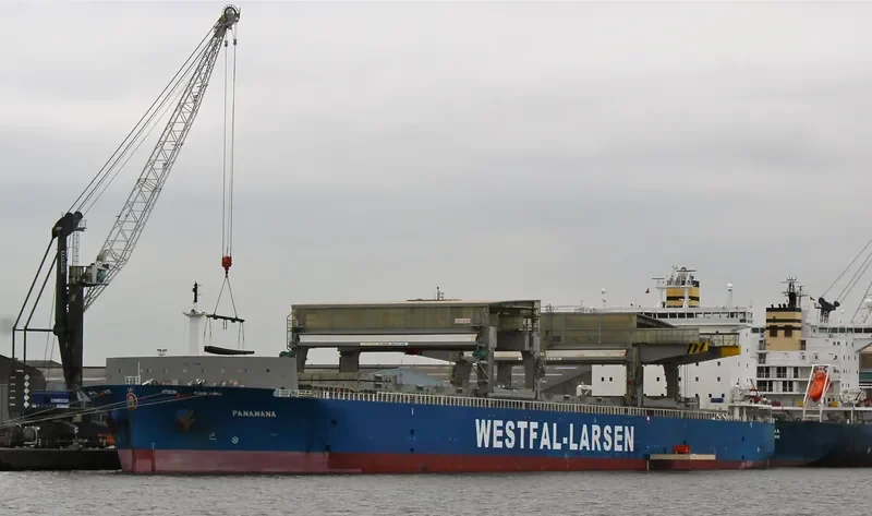PANAMANA General Cargo IMO 9401805 photo 9