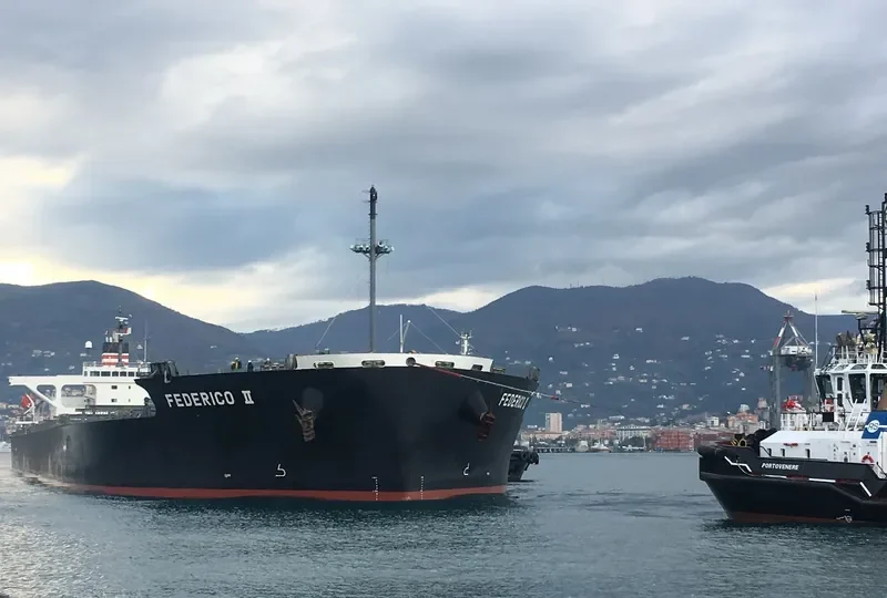 FEDERICO II Bulk Carrier IMO 9401817 photo 2