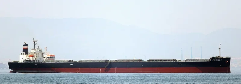FEDERICO II Bulk Carrier IMO 9401817 photo 3