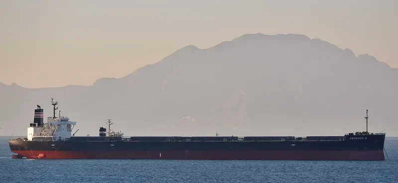 FEDERICO II Bulk Carrier IMO 9401817 photo 4