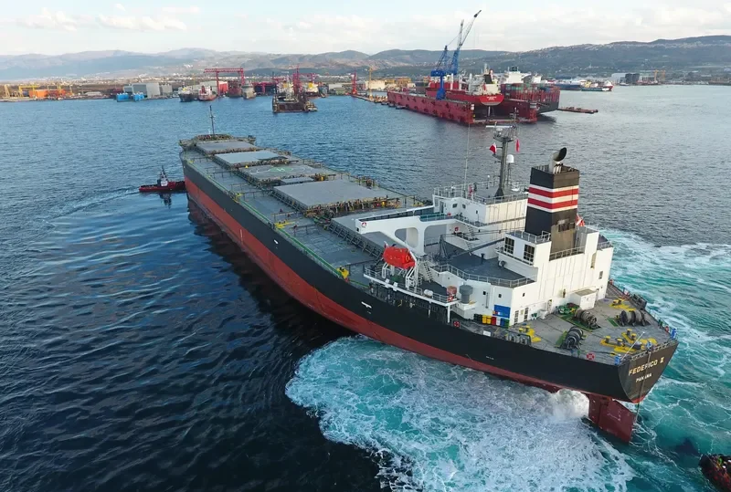 FEDERICO II Bulk Carrier IMO 9401817 photo 5