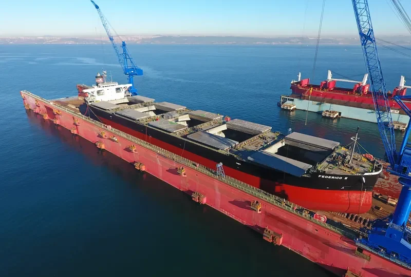 FEDERICO II Bulk Carrier IMO 9401817 photo 8