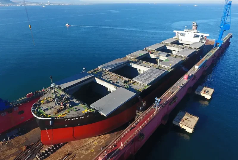 FEDERICO II Bulk Carrier IMO 9401817 photo 9