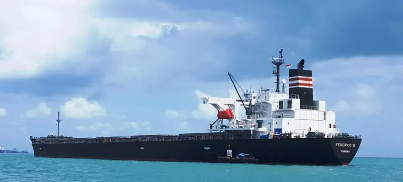 FEDERICO II Bulk Carrier IMO 9401817 photo 10