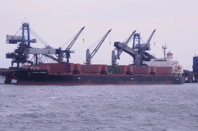 OCEAN PEARL Bulk Carrier IMO 9401829 photo 2