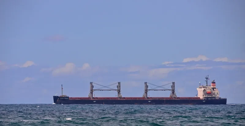 OCEAN PEARL Bulk Carrier IMO 9401829 photo 3