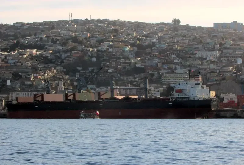 OCEAN PEARL Bulk Carrier IMO 9401829 photo 4